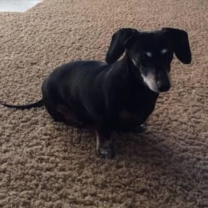 Meet your Posher, Joan